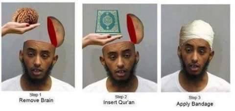 12249975_1100865786598237_3194554802111056558_n