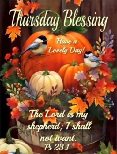 9bc22eb3-aa71-43ba-9bcc-676d6950b58d