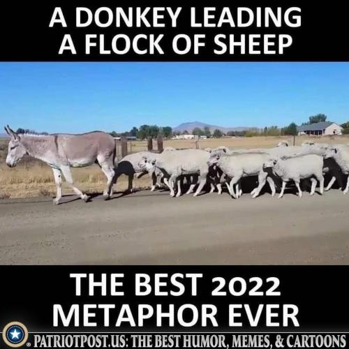 best metaphor