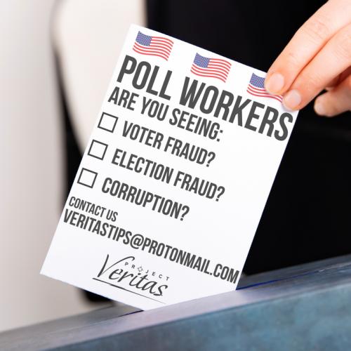 Project Veritas voting