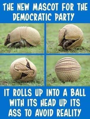 New_Democrat_Mascott_armadillo