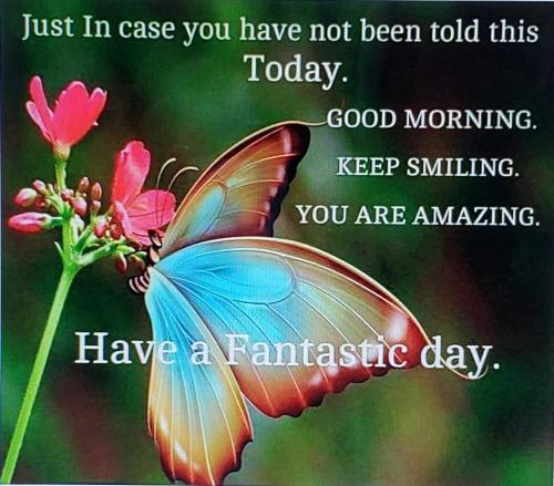 649db51a-cc9b-47a2-bac7-f22121533f49