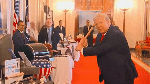 Trump Hits a Home Run