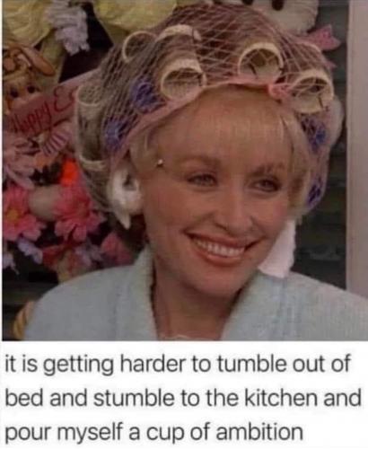 FB_IMG_1668089250580