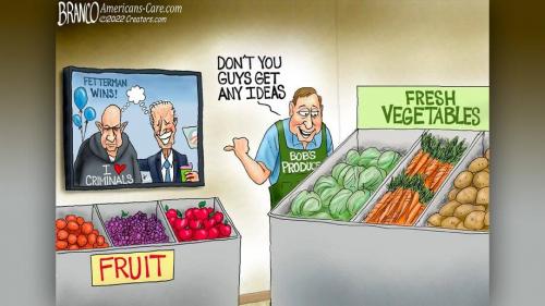 acd1cc40-cartoon-111422-copy