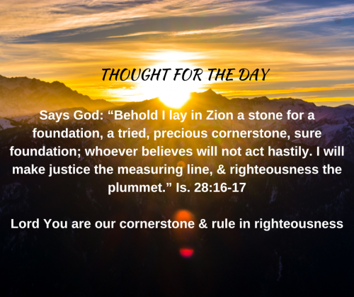 TWEET 11-14-22