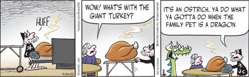 11_24_22_31b0b3b95a4c9a619b0c097447c663d2