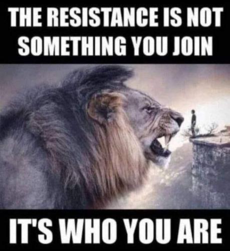 FB resistance