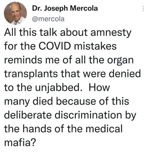 Mercola amnesty NO