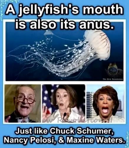 24F64DFF-5F0D-487B-97BC-2DD5390713E3