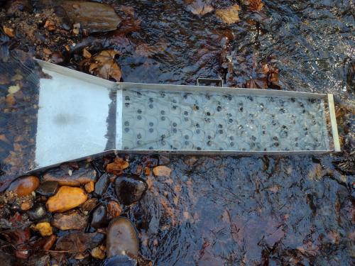 IMG_20221121_105458167