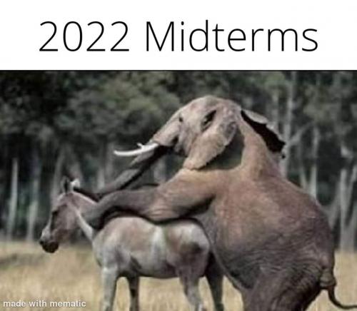 FB_IMG_1667608012626