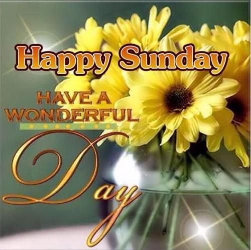 0d8daa64-b103-44d6-a7f6-6d3f1089c4fa