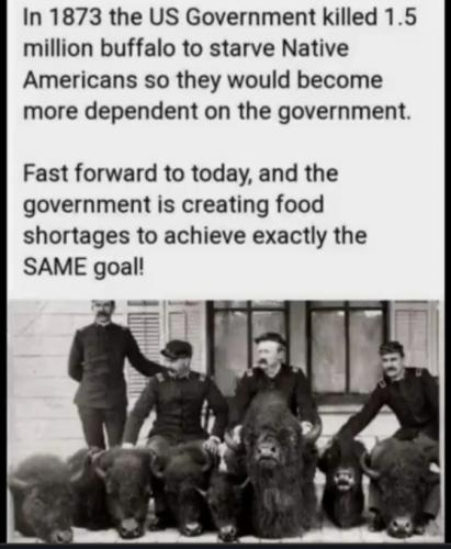 95effcbf6460b0e4