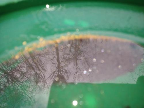 IMG_20221124_123538492