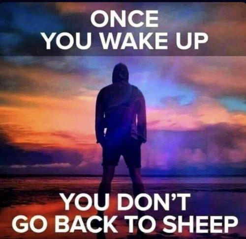 9c59109ce0322a72