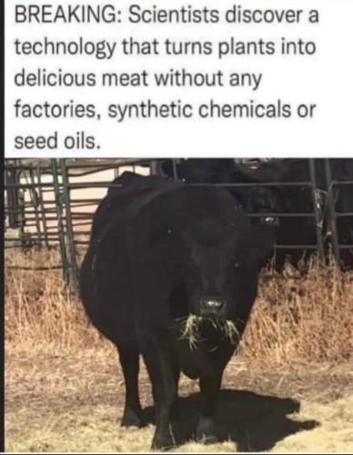 31d3ceda204905a0