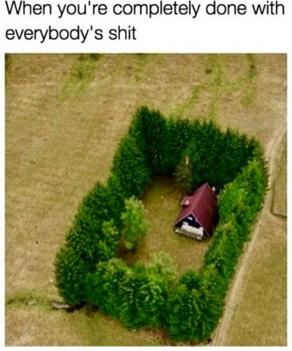 BB4C339F-4D47-45AB-BB19-0309BC6B8F1B