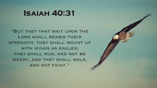 IMG_20221223_095845_905