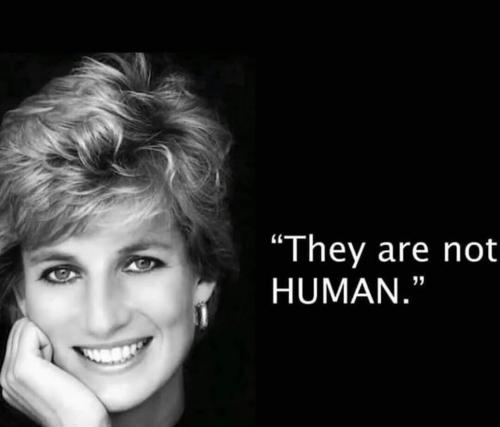 Not Human