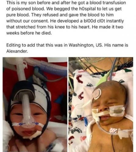 tumblr_167336dccc815c77546ab75d56853d43_b54d7b77_640