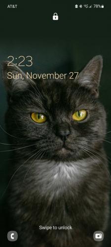 Screenshot_20221127-142341_YouTube