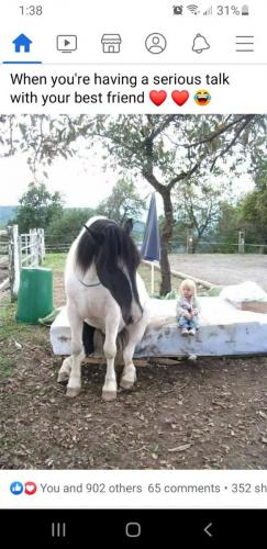 6ed067e9-68ad-4124-ac72-ca67aa0328c5