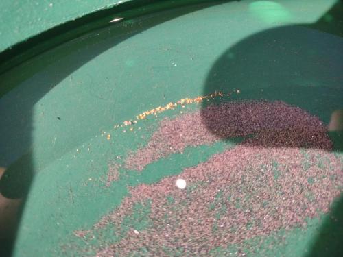 IMG_20221227_124305453