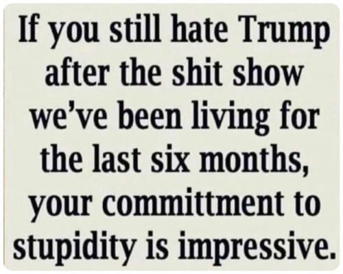 LiberalStupidity
