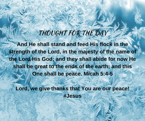 TWEET 12-29-22