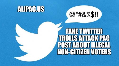 TwitterTrollsIllegalsVoting2020