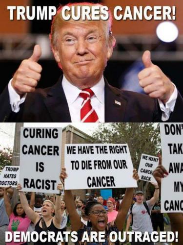 LiberalsOutragedTrumpCuresCancer