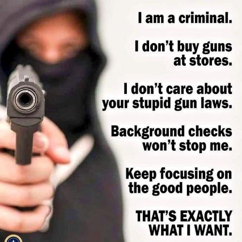 =the guns laws don't stop criminals