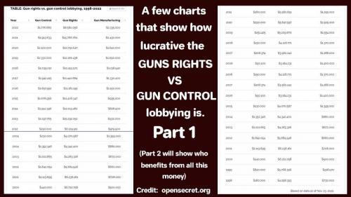 gUNcONTROL vs gUN rIGHTS PART 1