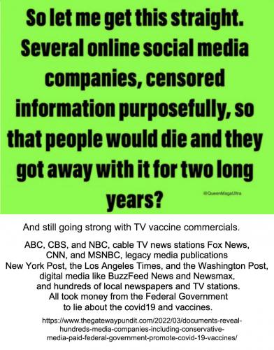 MSM paid to lie