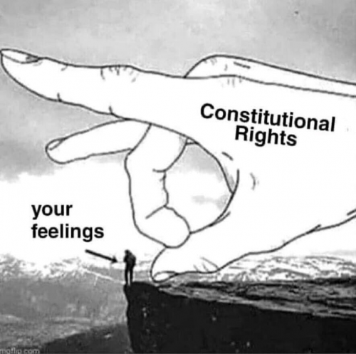 M Rights