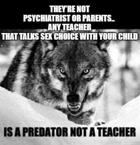 USA predator