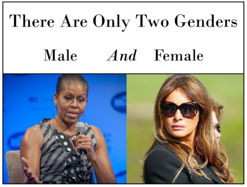 2Genders