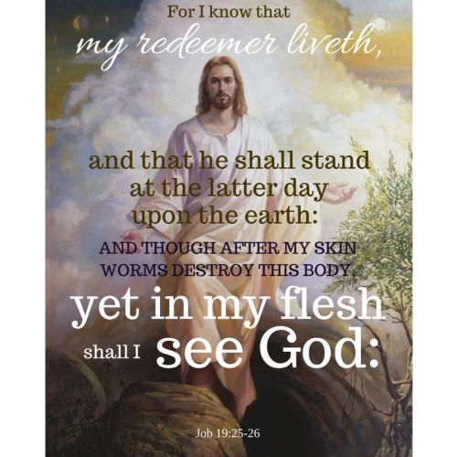 IMG_20221231_115846_223