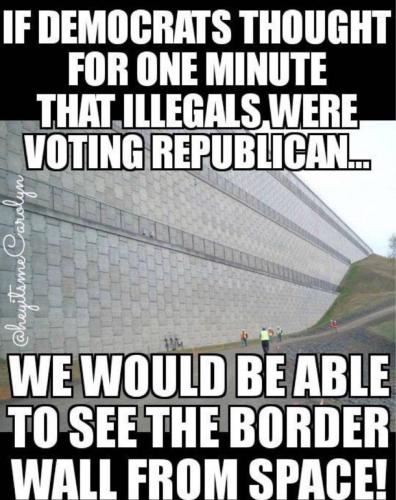 LiberalsWouldBuildAwallYouCouldSeeFromSpace