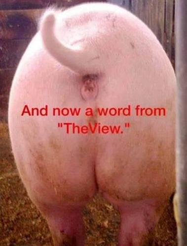 RO the View