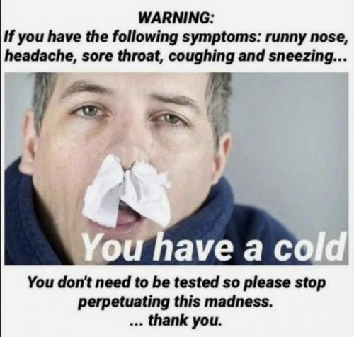you have a cold