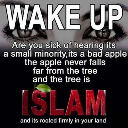 15672560_1473312952686850_4354057517063577359_n