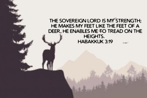 0f37bc26-a9a7-47a3-aeb3-5f78d4a01c18