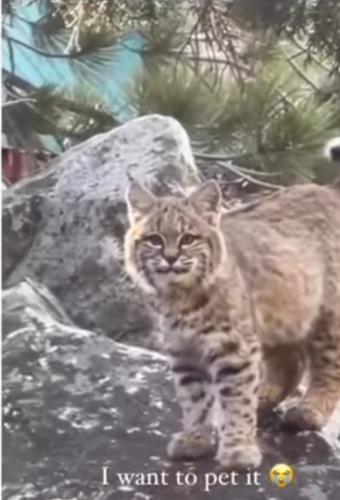 Screenshot_20221215-074043_YouTube