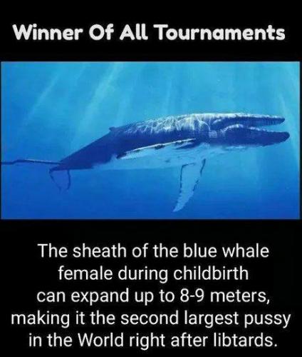 bacd2fb1-d977-4358-b29e-776368ed1487