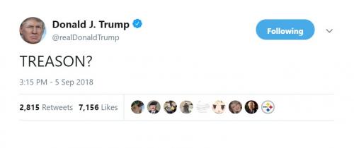 LiberalsGuiltyOfTREASON