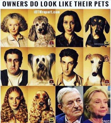 2a2ef1b9-3e0a-480a-a715-e8efbb69225d