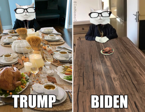 M Trump Biden