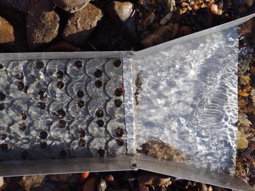 IMG_20221227_100014641